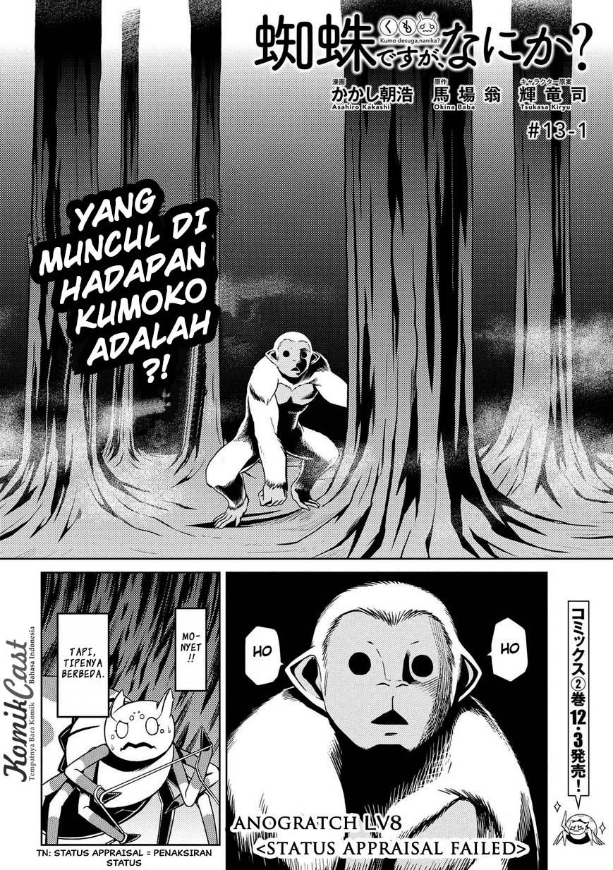 Kumo desu ga, Nani Ka?